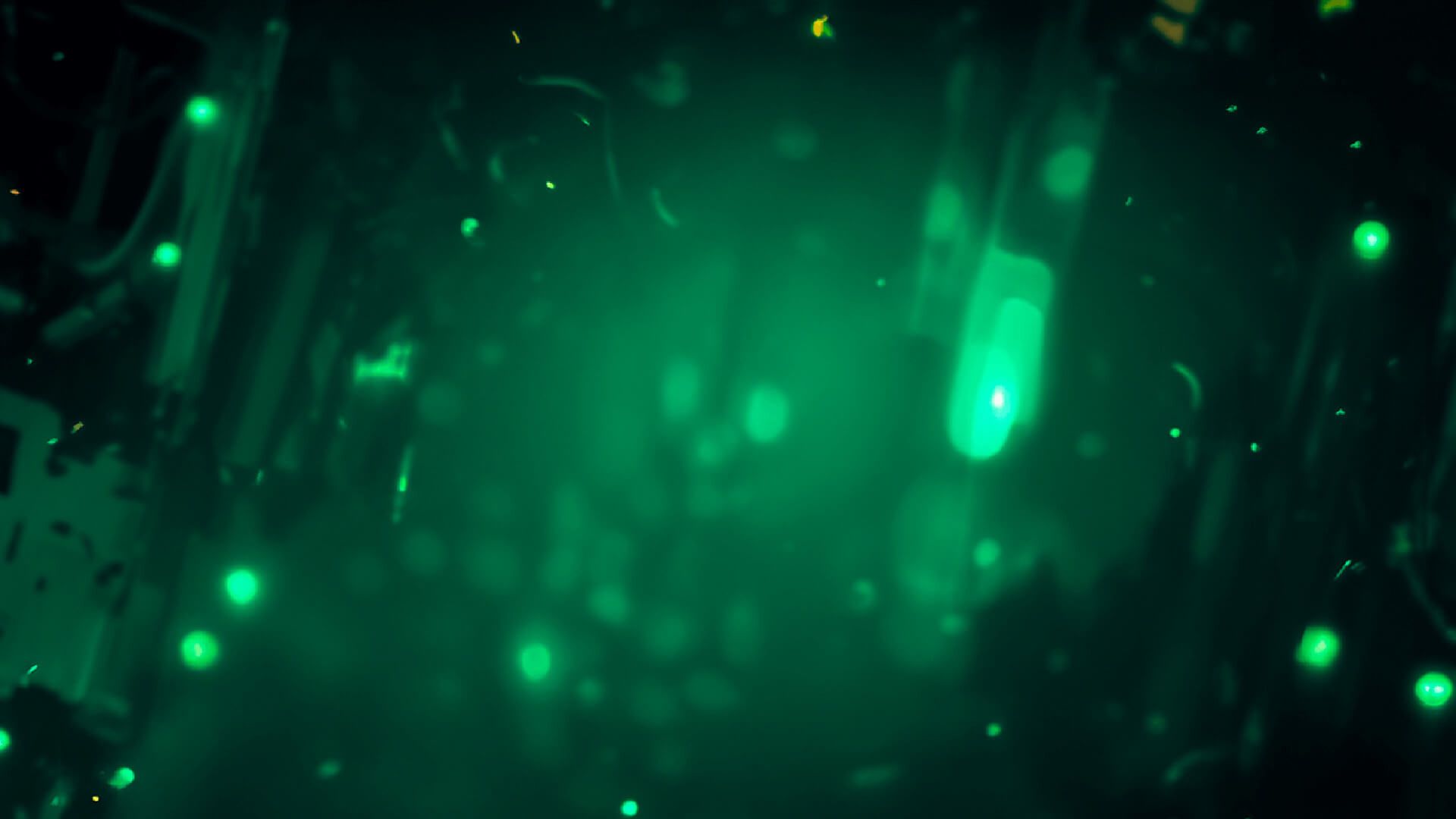 main-banner