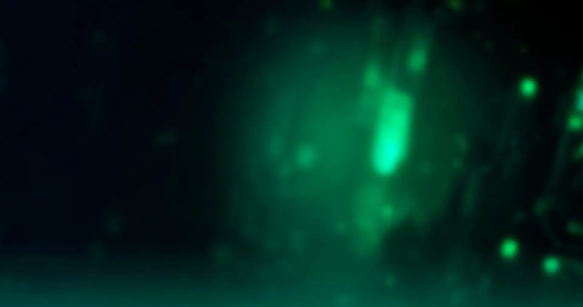main-banner