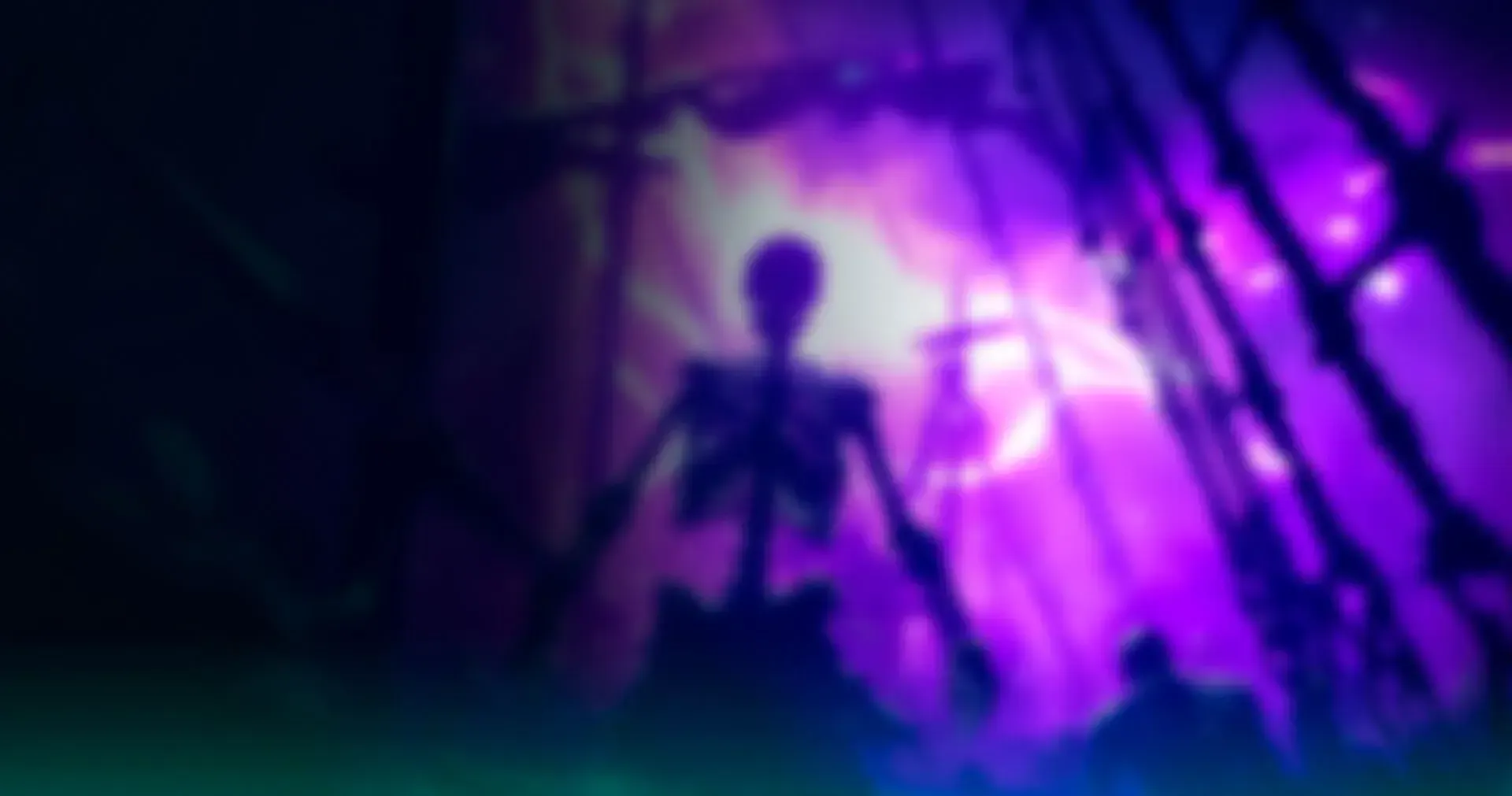 main-banner